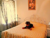 /album/gogolya-127/gn7ibl16psw-jpg/